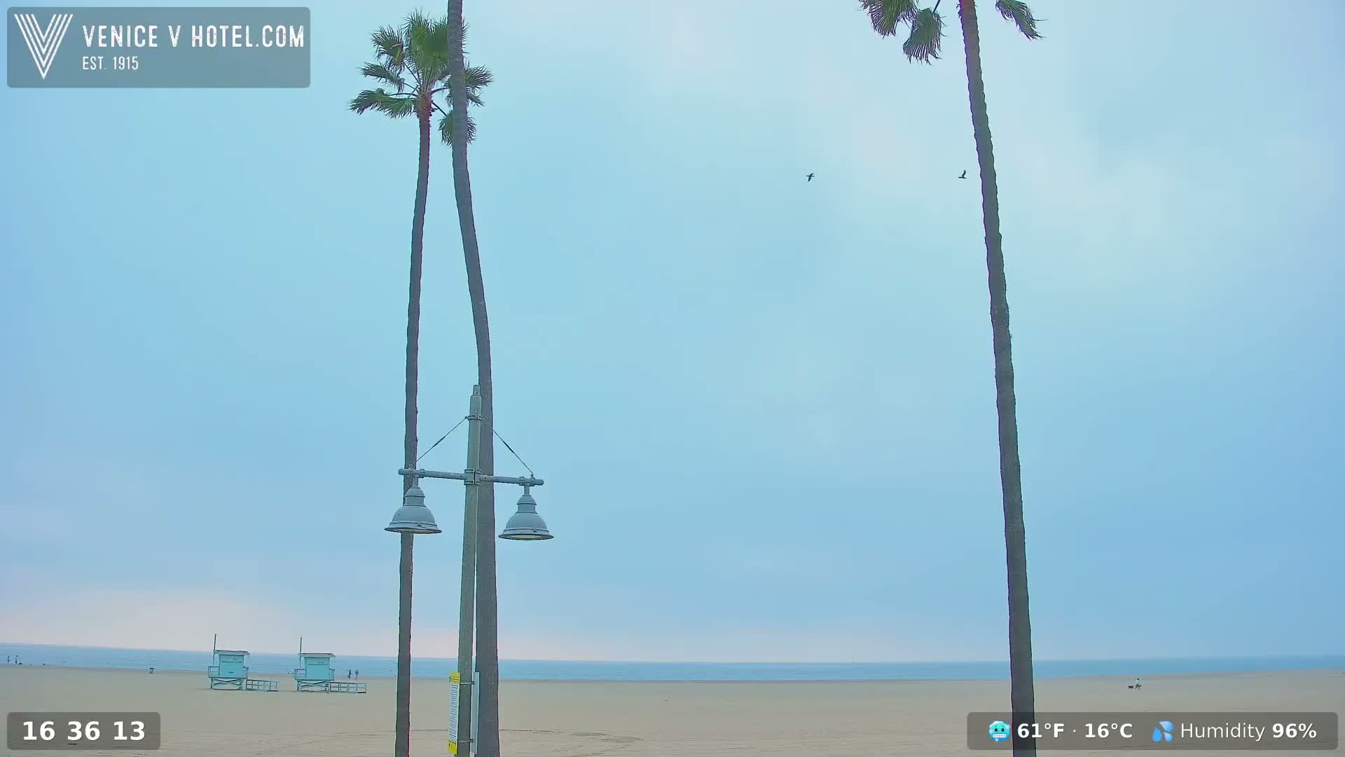 Venice Beach Live Cam - Los Angeles, California, USA