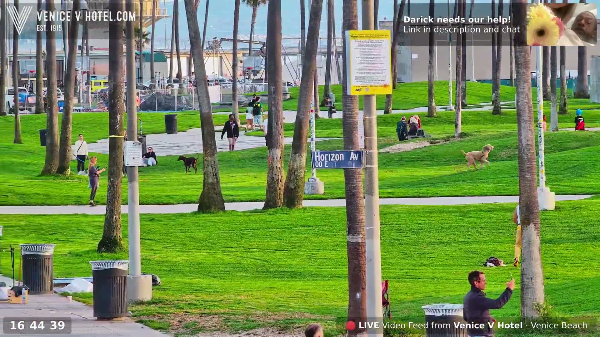 Venice Beach Live Cam - Los Angeles, California, USA