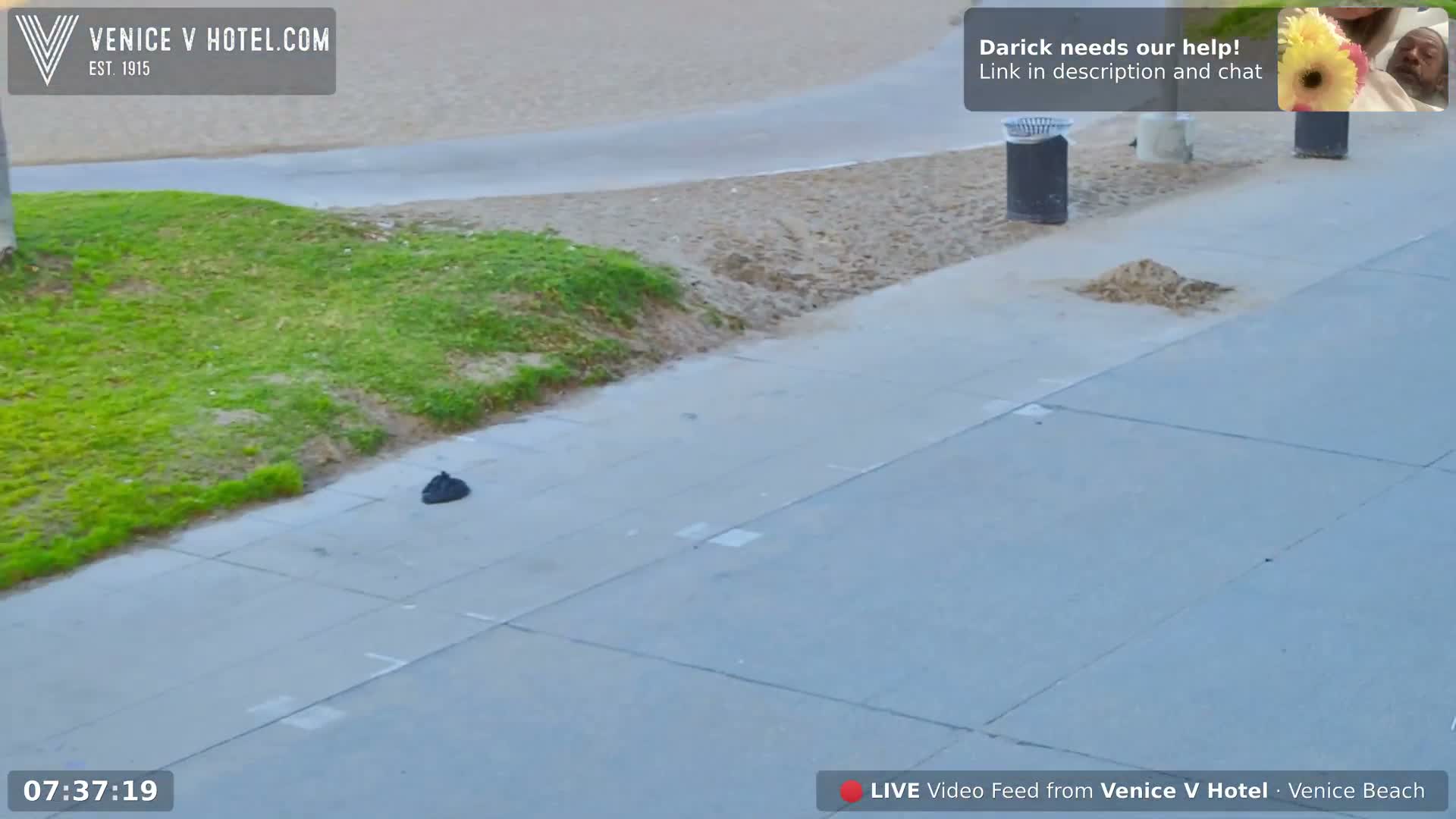 Venice Beach Live Cam - Los Angeles, California, USA