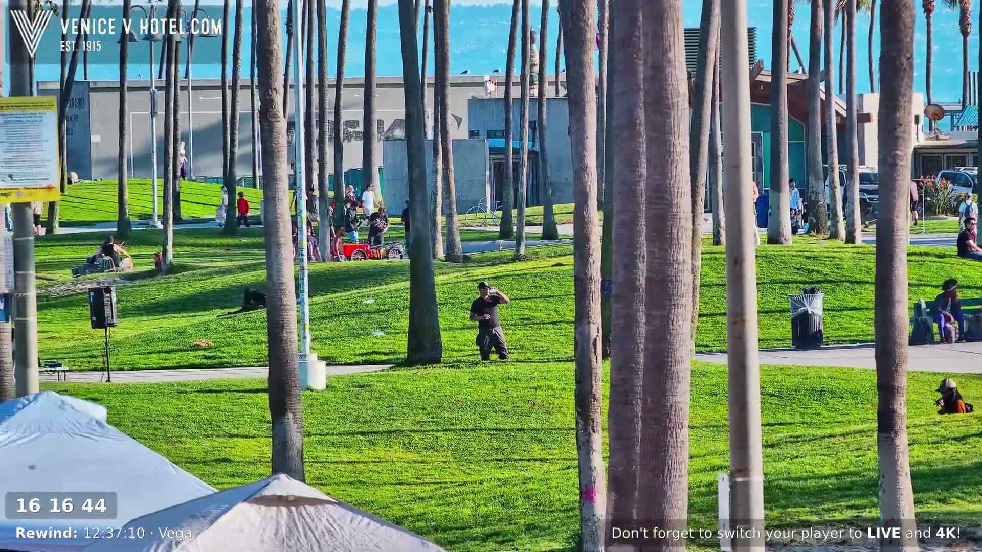 Venice Beach Live Cam - Los Angeles, California, USA
