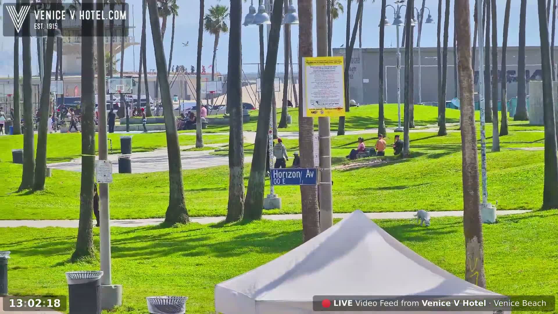 Venice Beach Live Cam - Los Angeles, California, USA