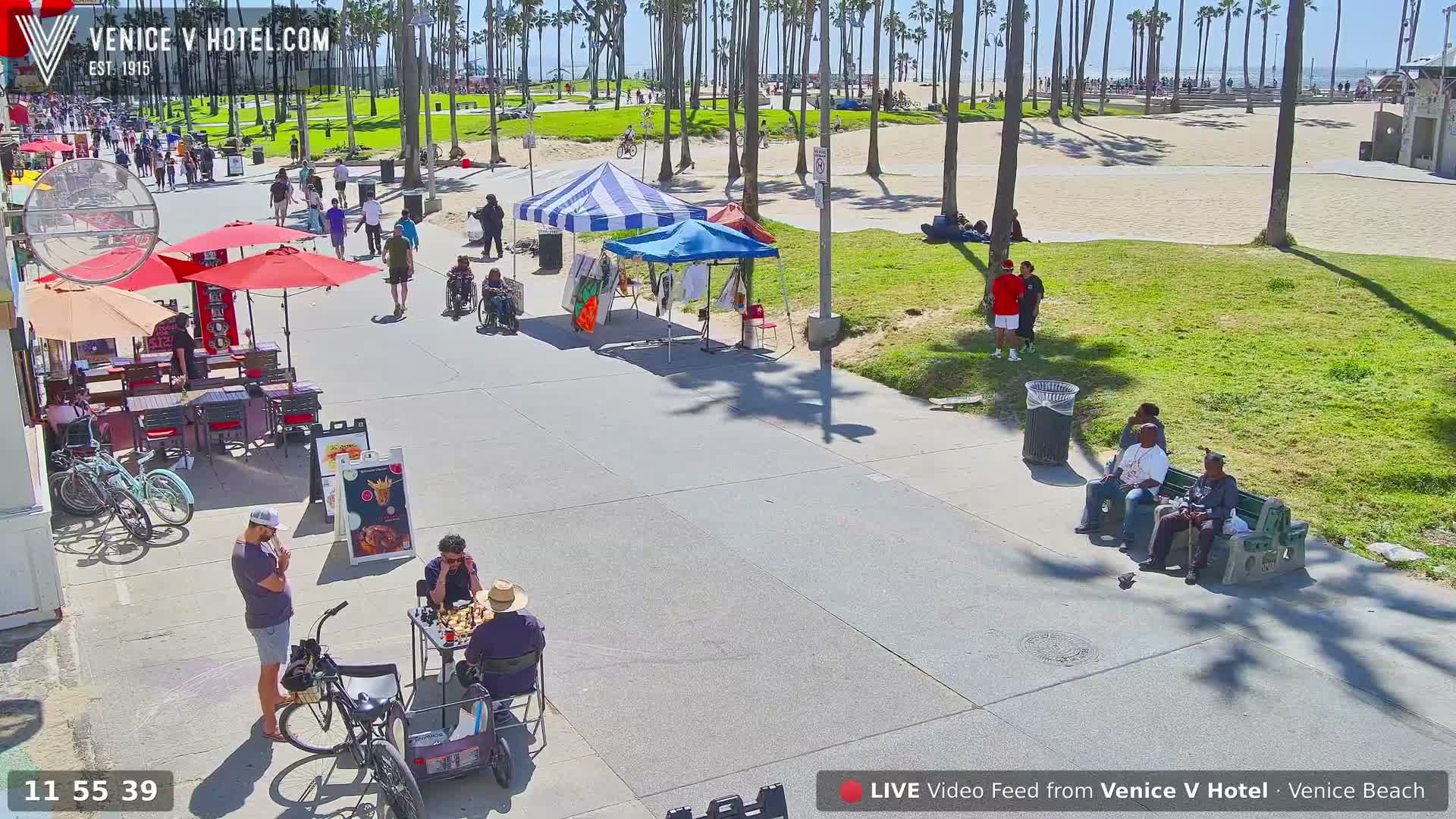 Venice Beach Live Cam - Los Angeles, California, USA