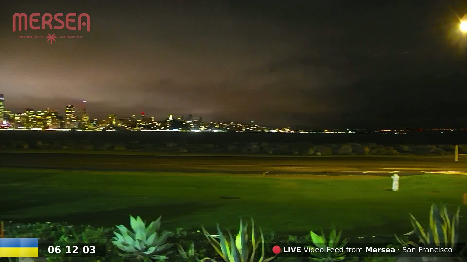 A nighttime view of a city skyline across a body of water, under a cloudy sky, from a grassy area with some low plants.