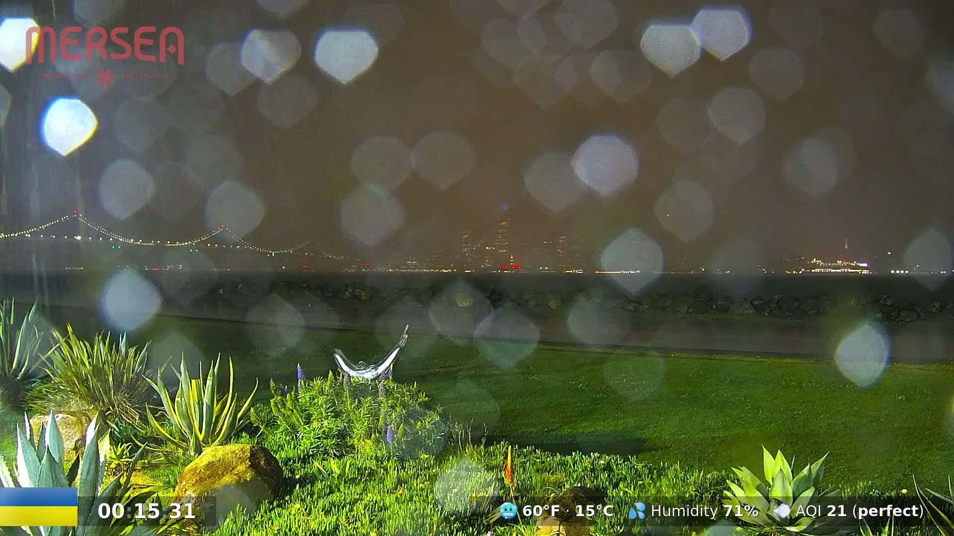 A nighttime view of a city skyline across a body of water, seen through rain-covered glass, with a lawn and landscaping in the foreground.