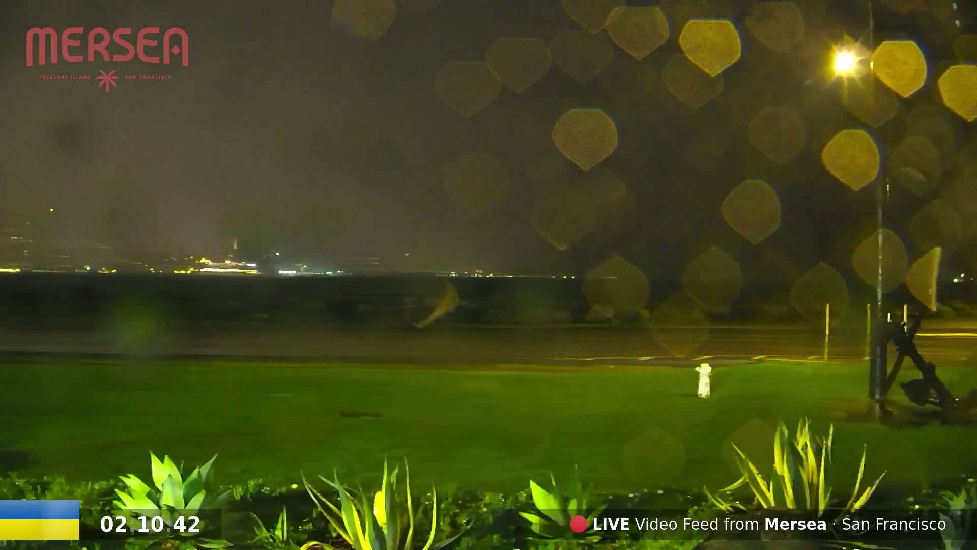 A nighttime view of a rain-slicked lawn and a body of water, with city lights visible in the distance under a dark, rainy sky.