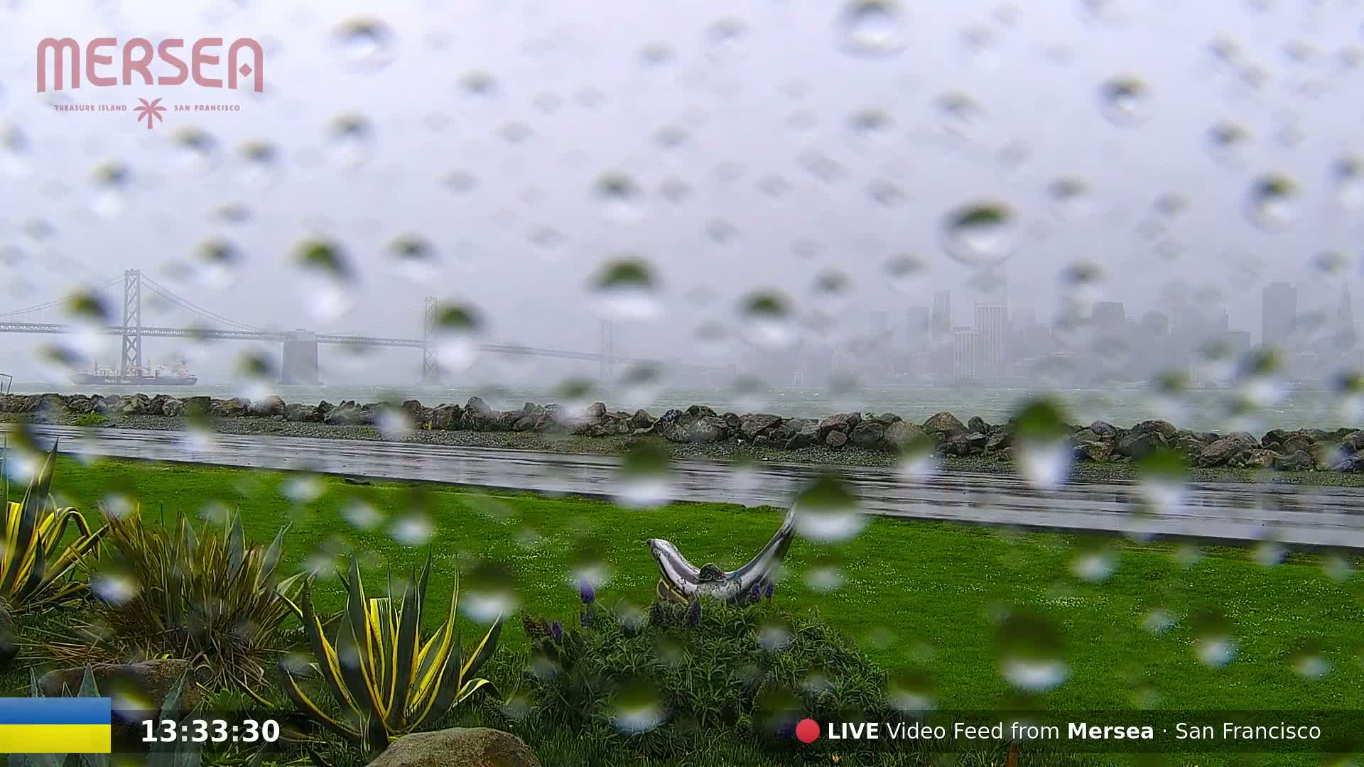 Rain-covered glass shows a view of a bridge, a ship, a city skyline, and a grassy area with landscaping, all under a heavily overcast sky.