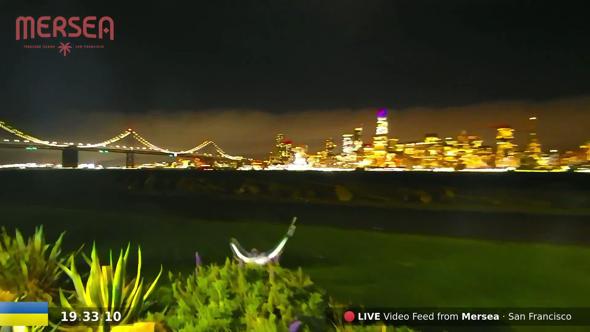 A nighttime view of a city skyline with a bridge in the distance, seen from a grassy area with some bushes in the foreground under a cloudy sky.