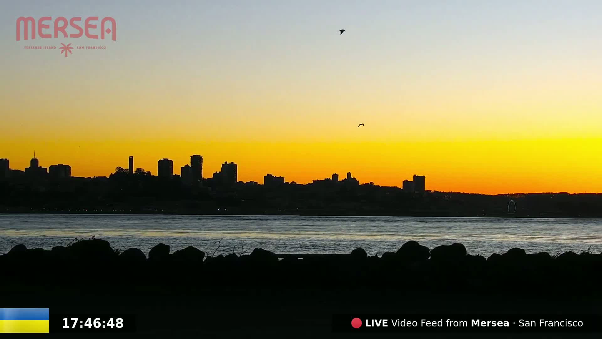 San Francisco City Live Camera from Treasure Island - California, USA