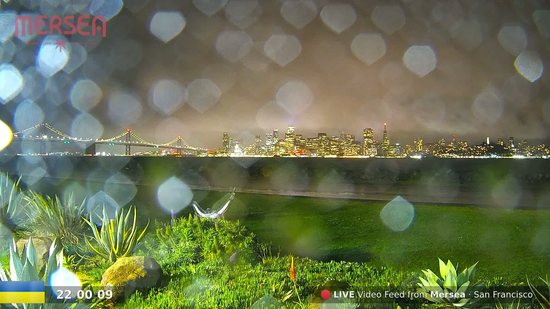 San Francisco City Live Camera from Treasure Island - California, USA