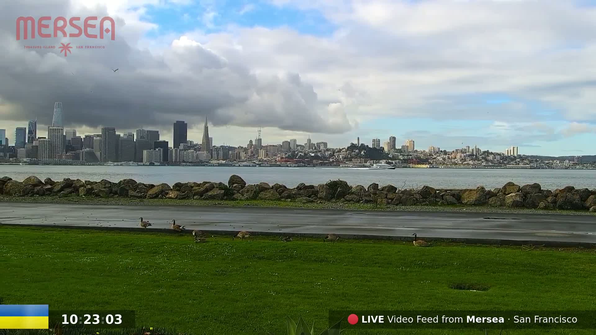 San Francisco City Live Camera from Treasure Island - California, USA