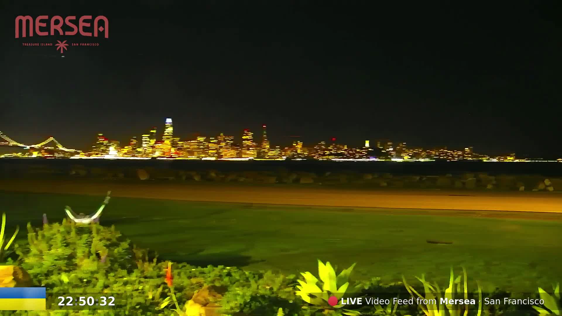 A nighttime view of a brightly lit city skyline across a body of water, seen from a grassy area with low-lying vegetation in the foreground.