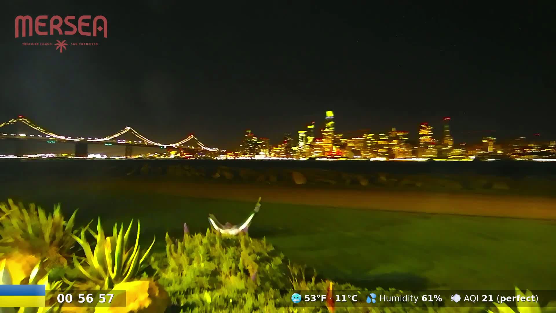 A nighttime view of a lit-up city skyline across a body of water, with a bridge in the foreground, and a hammock partially obscured by vegetation in the immediate foreground.
