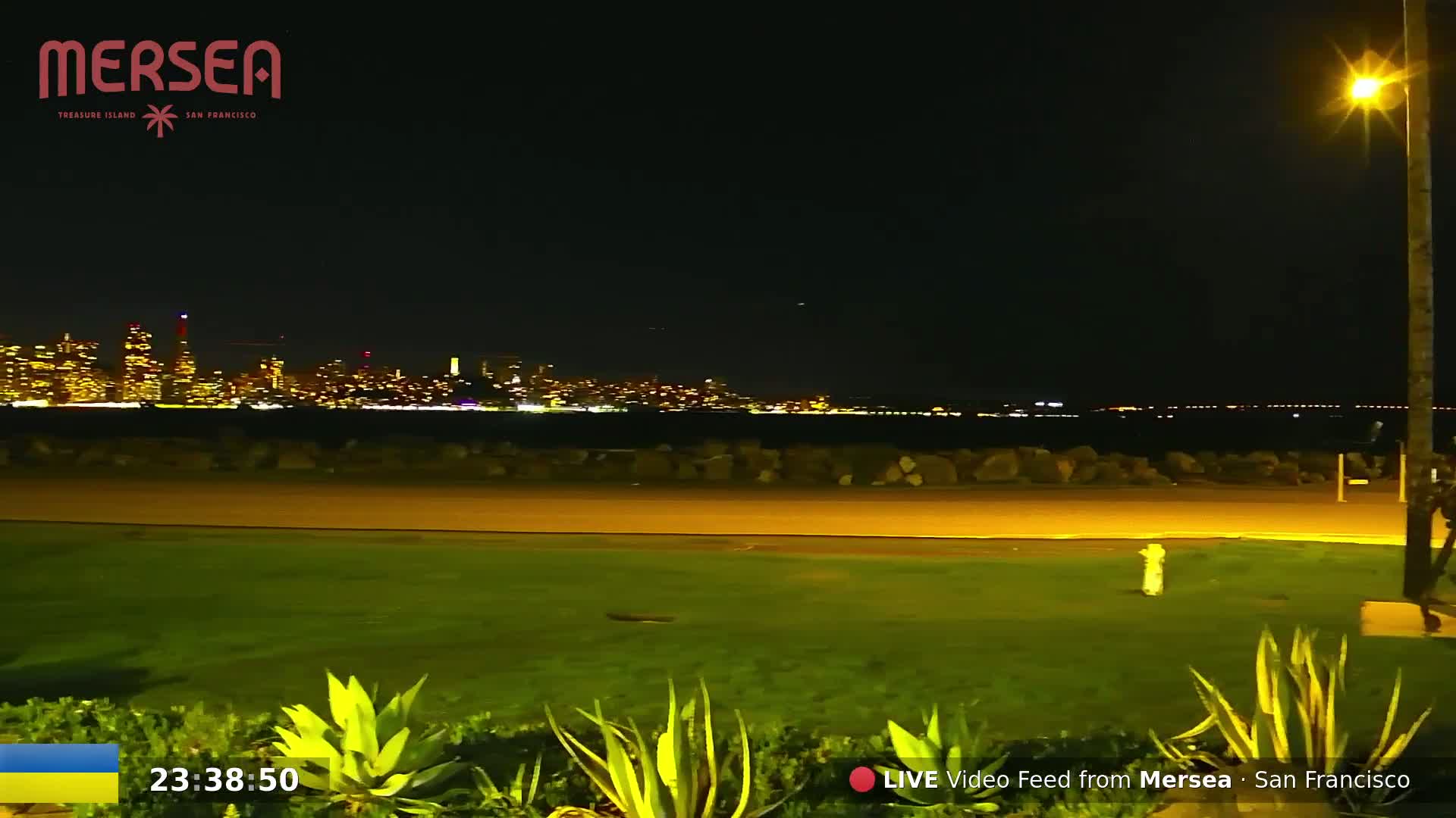 A nighttime view of a city skyline across a body of water, seen from a grassy area with a single lamppost illuminating the foreground.