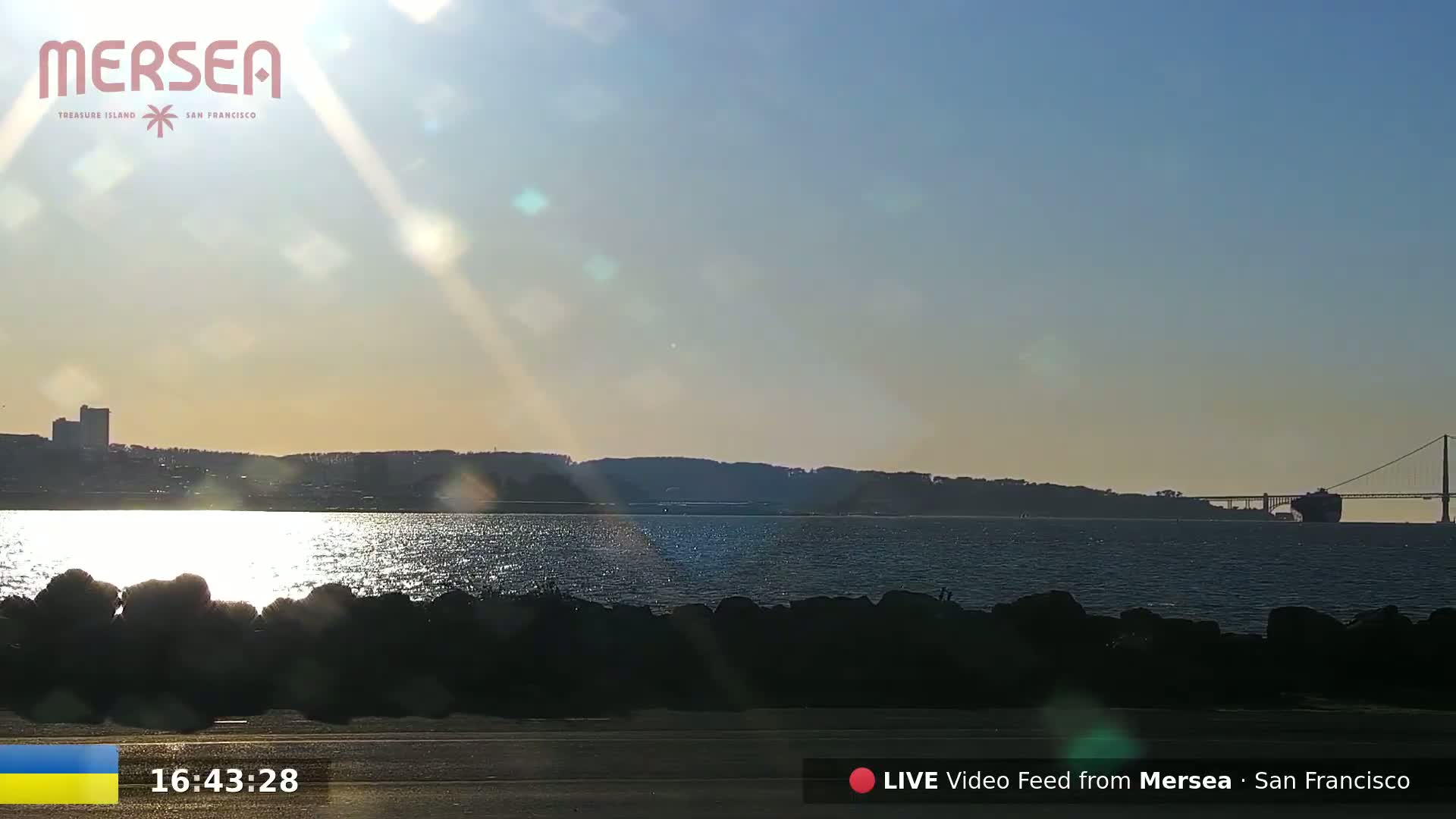 A sunny day shows a calm body of water reflecting sunlight, with a distant cityscape and a bridge in the background.