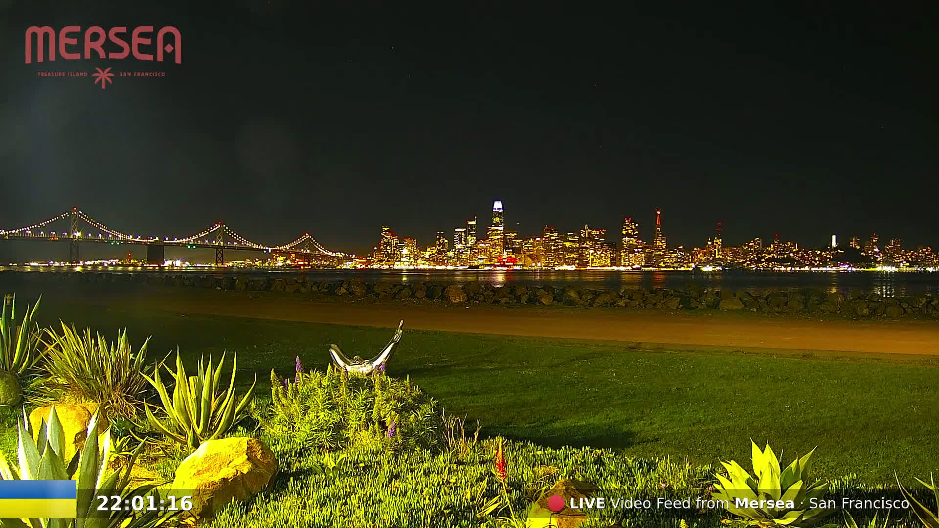 A nighttime view of a city skyline across a body of water, with a bridge in the distance and lush greenery in the foreground under a clear, dark sky.