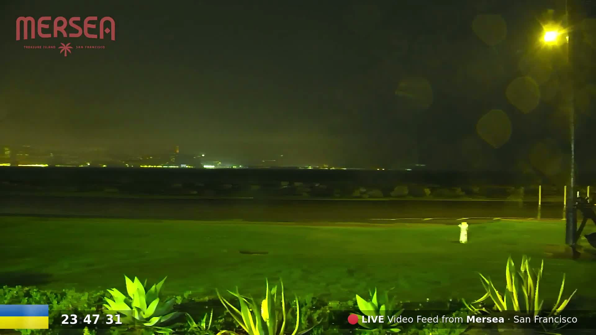 A nighttime view of a grassy area with plants, a road, and a body of water with city lights visible in the distance under a dark, possibly rainy sky.