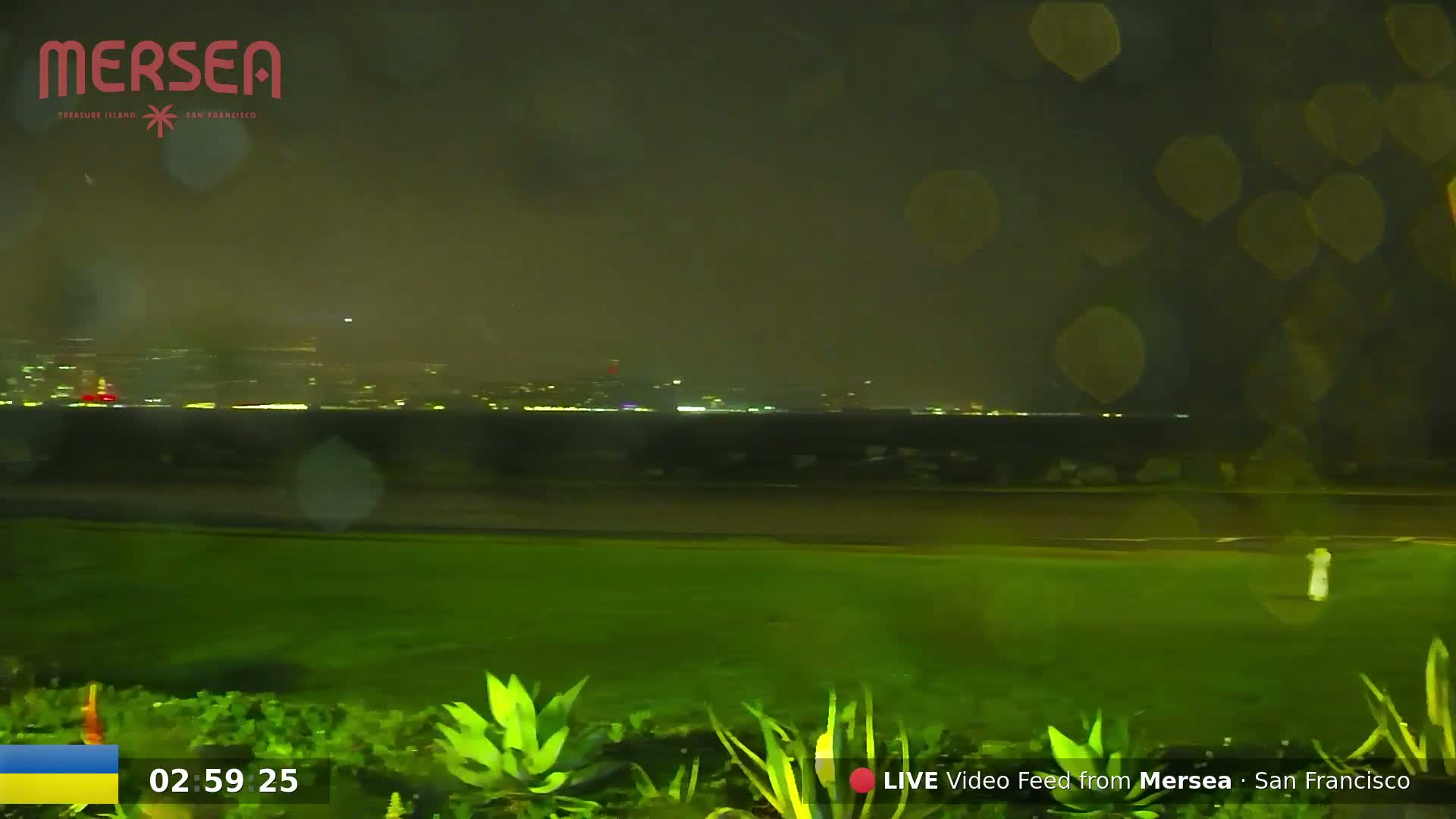 A nighttime view of a rain-soaked city skyline across a body of water, seen from a grassy area with vegetation in the foreground.