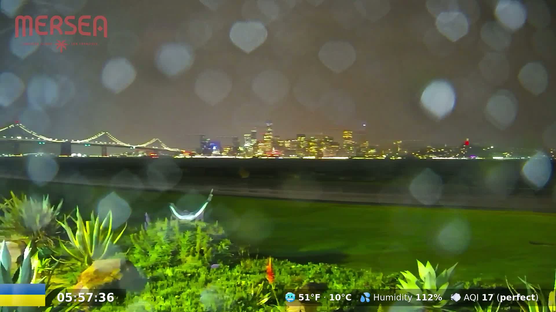 Rain falls on a nighttime scene showing a lit-up cityscape across the water, behind a bridge, and viewed from a garden with lush greenery in the foreground.