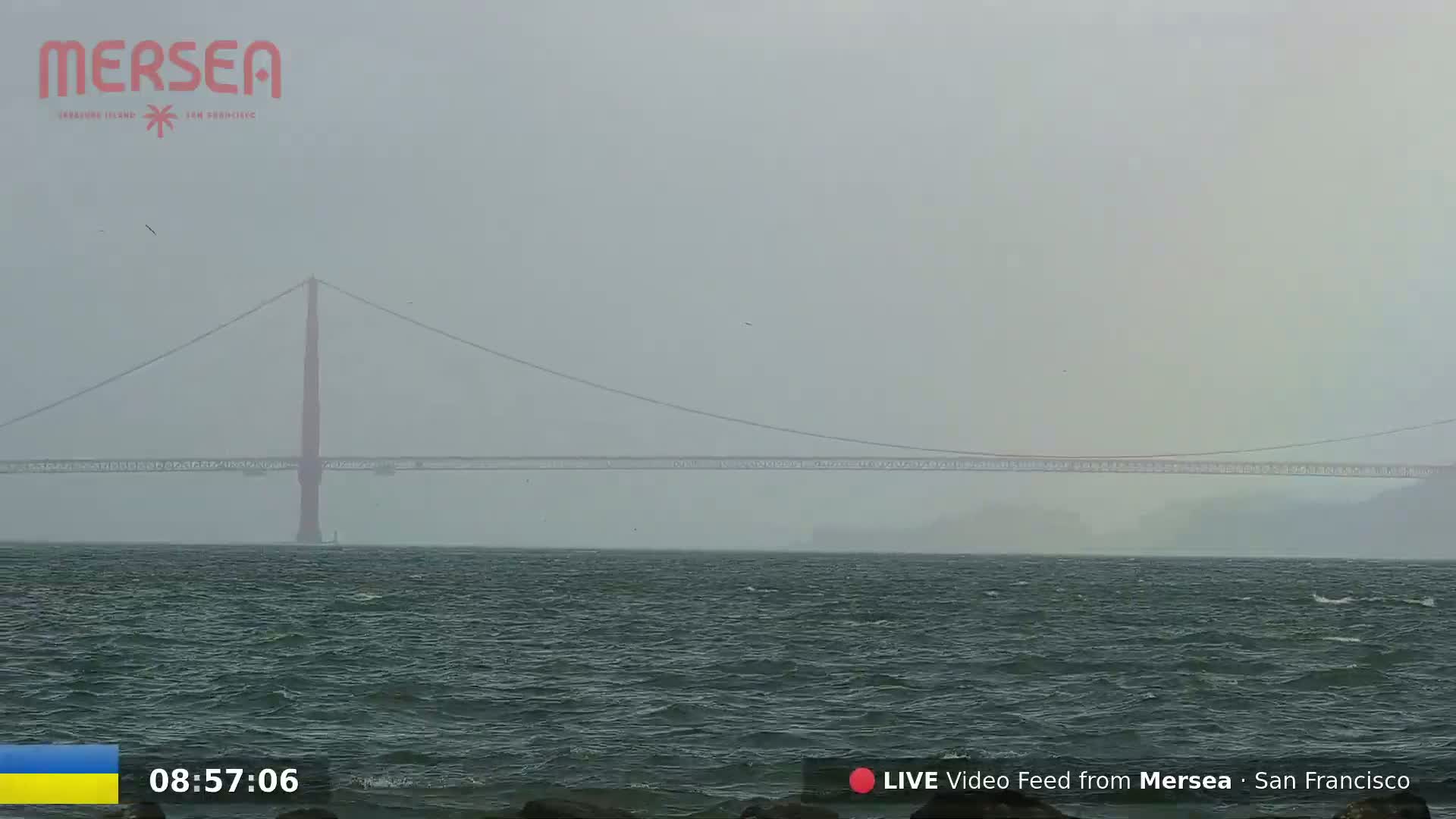 A suspension bridge is visible in the distance across a choppy body of water under a foggy sky.