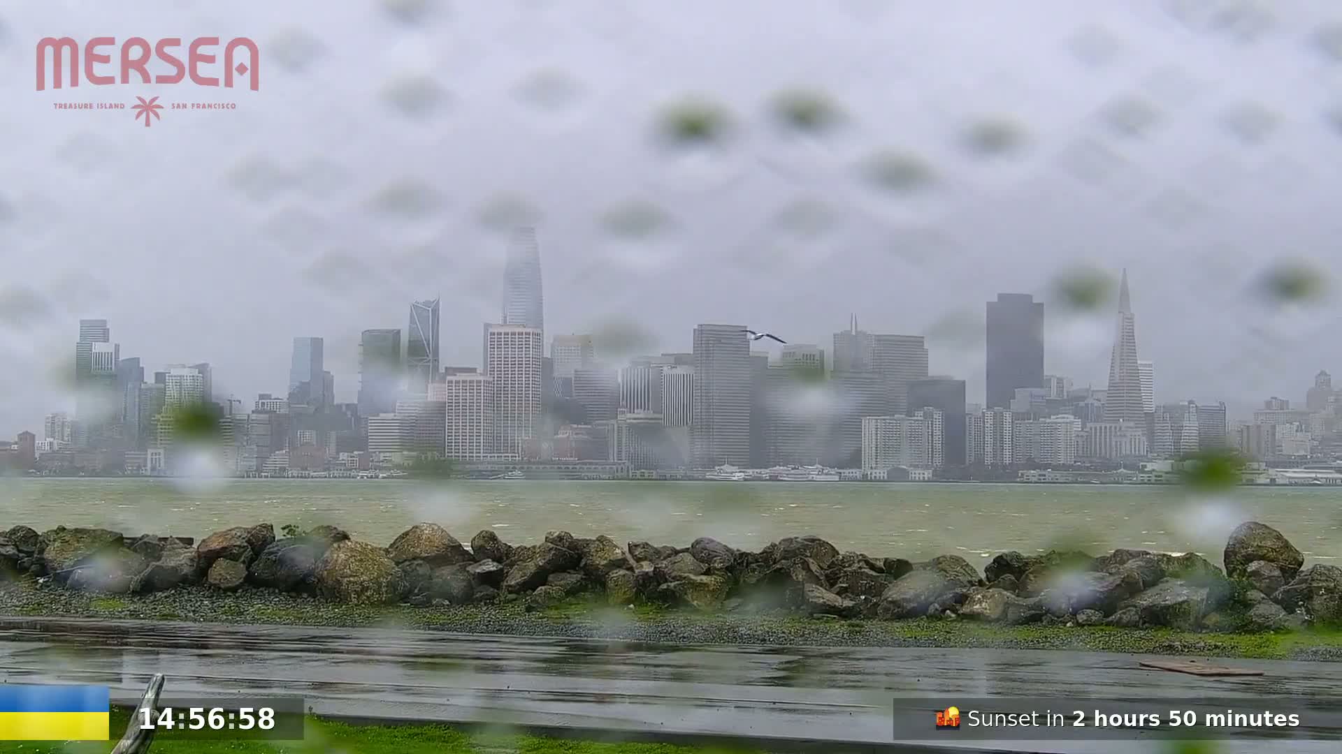 A rain-blurred view of the San Francisco skyline across a body of water, seen from behind a rocky shoreline.