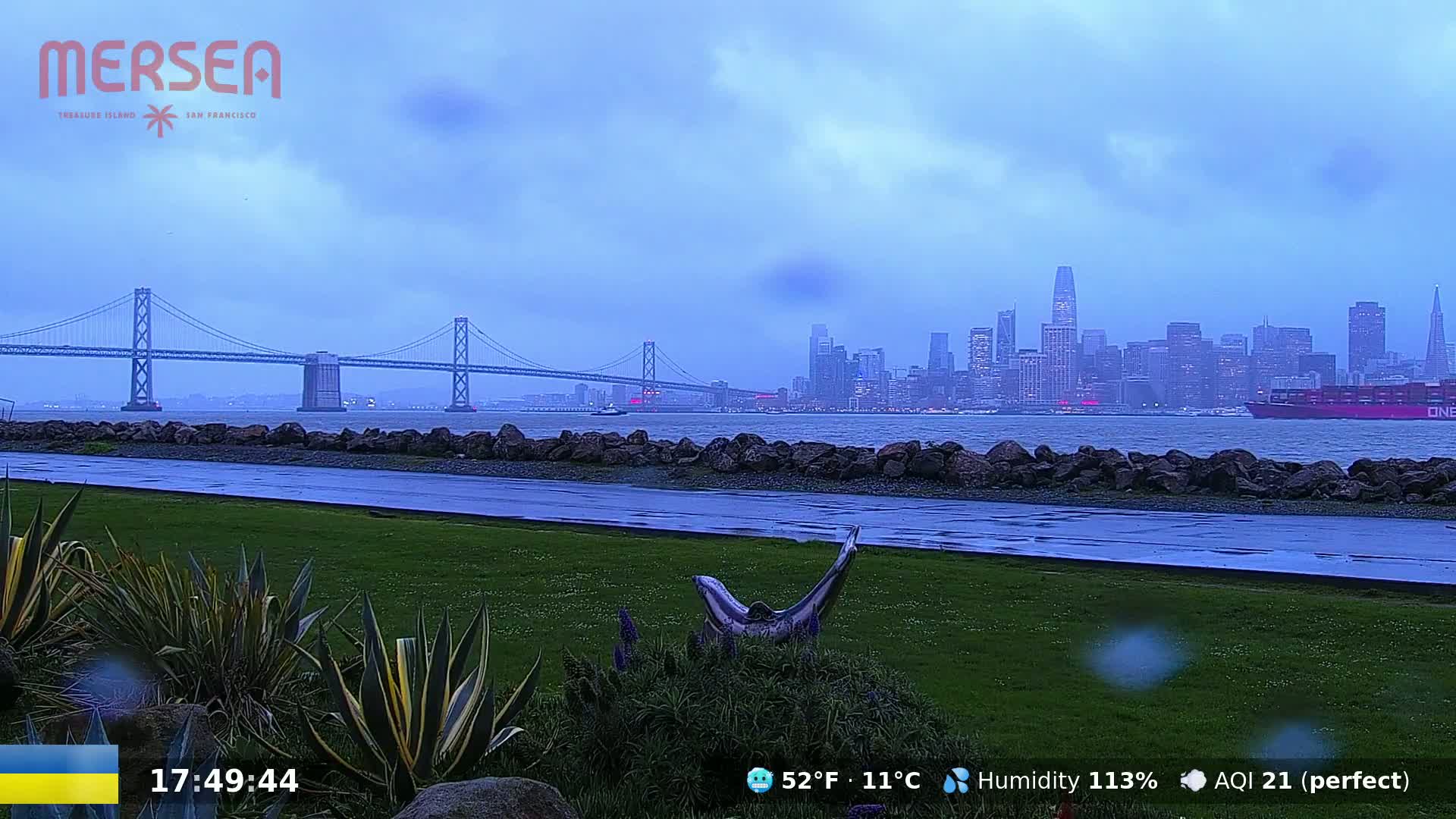 A rain-slicked park overlooks a suspension bridge and the San Francisco skyline under a cloudy, dusky sky.