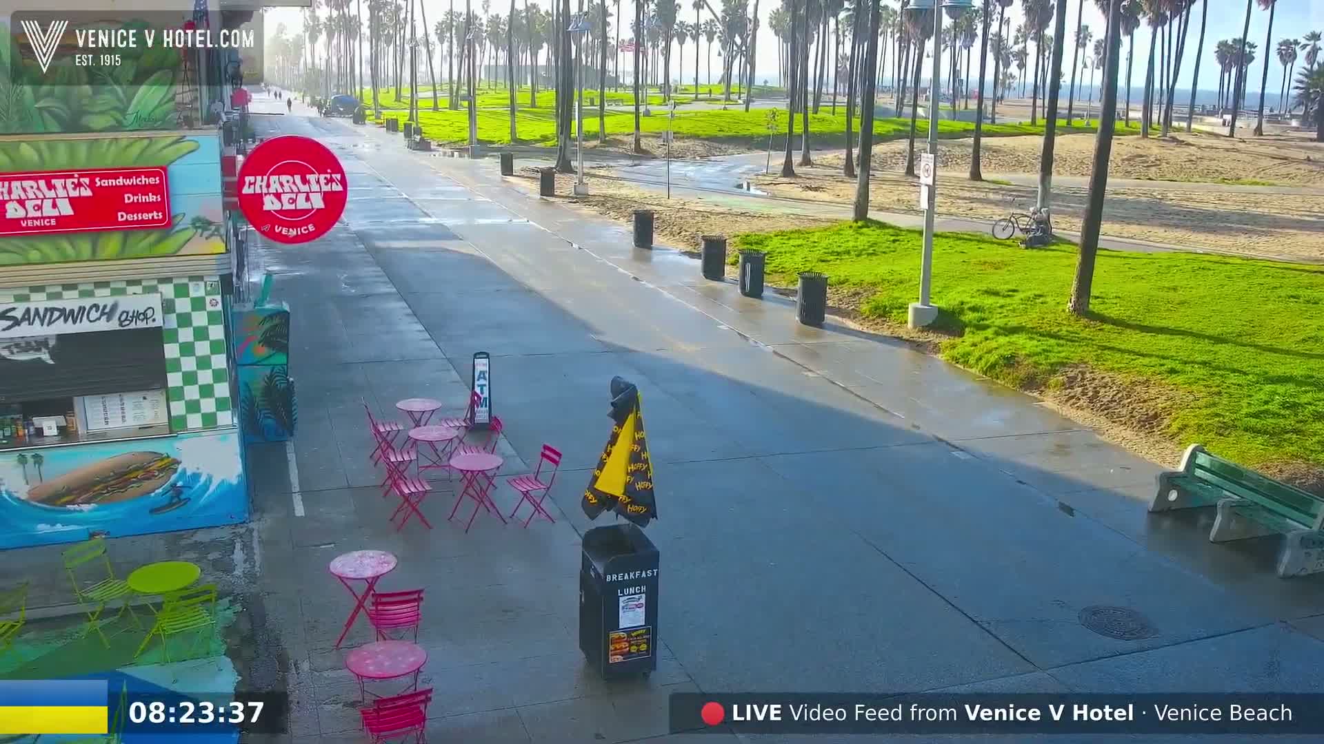 A wet paved walkway next to a beach, lined with palm trees and featuring outdoor seating in front of a deli, under a mostly sunny sky.