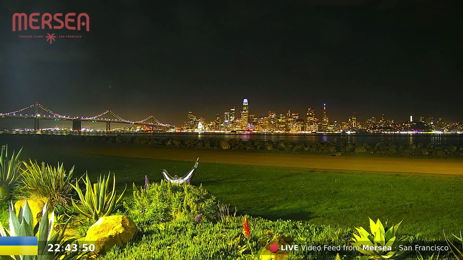 A nighttime view of a city skyline across the water, illuminated by lights, with a bridge in the foreground, and a grassy area with landscaping in the immediate foreground.