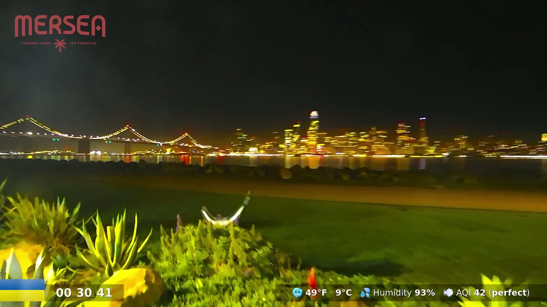 A brightly lit city skyline across a body of water is visible at night from a grassy area with shrubs in the foreground, under a clear sky.