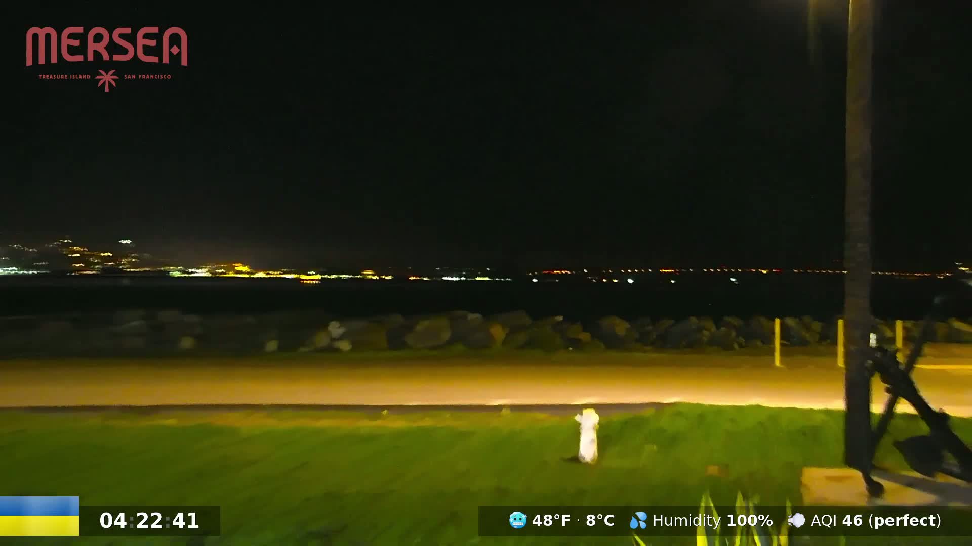A nighttime view of a city skyline across a body of water, from a grassy area with a path, under a dark, humid sky.