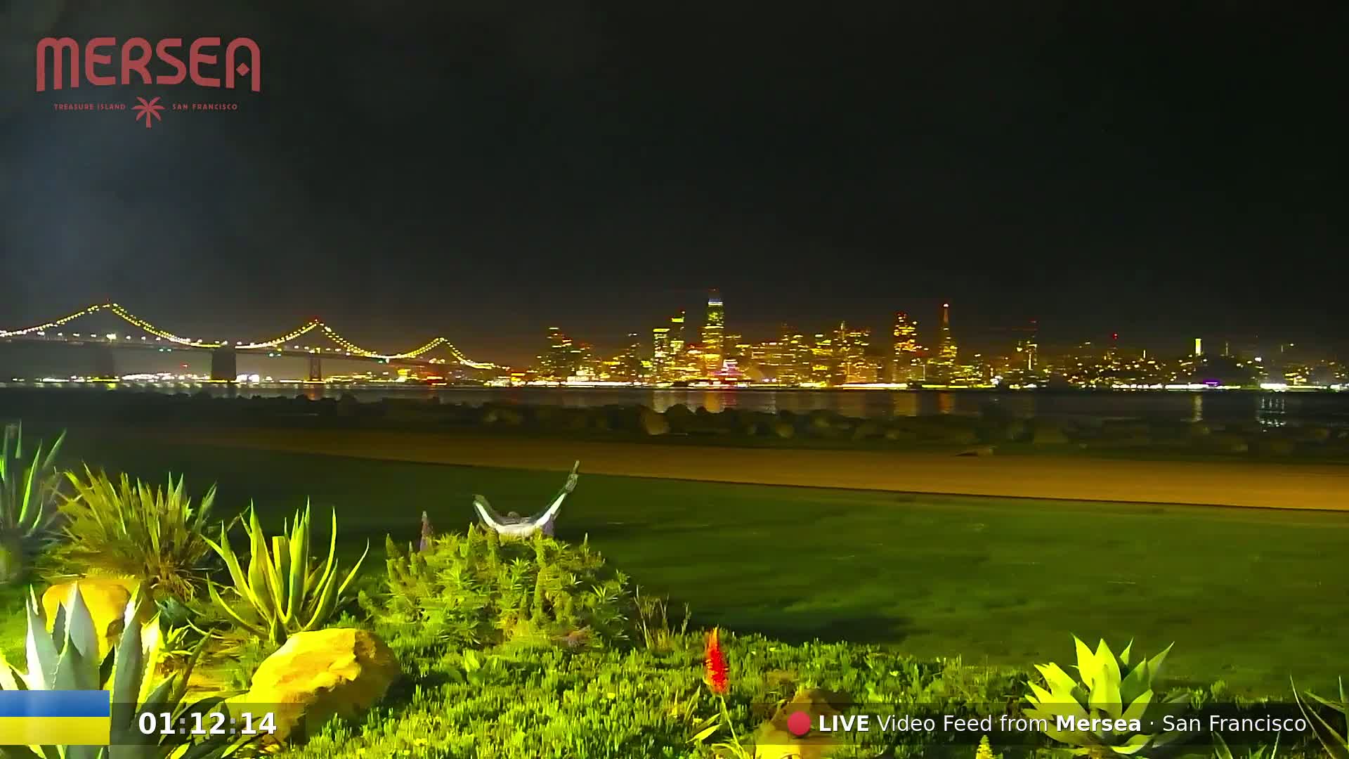 A nighttime view of a city skyline across a body of water, with a bridge in the foreground and lush greenery in the immediate foreground.