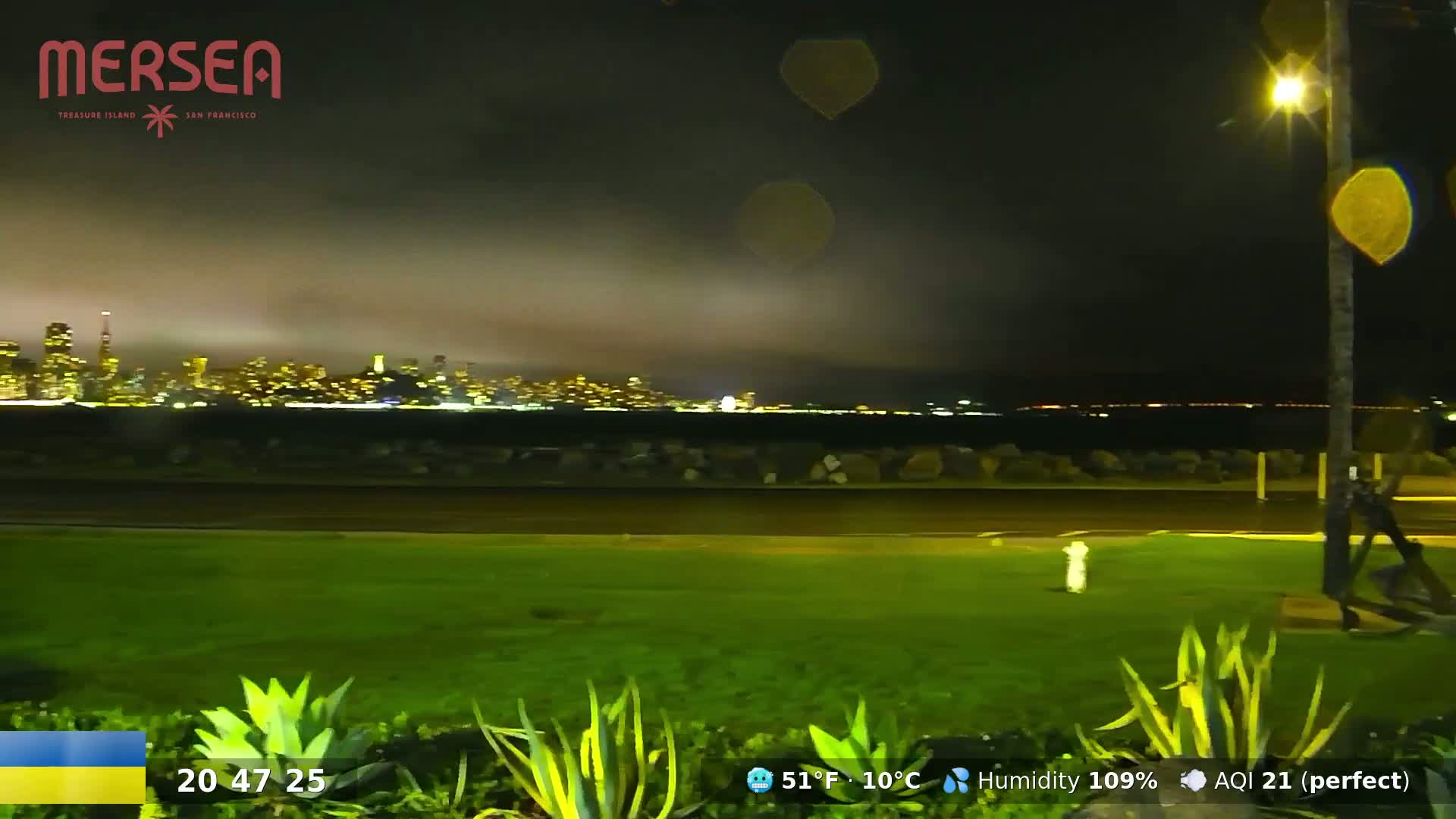 A nighttime view of a city skyline across a body of water, under a hazy sky, with green grass and plants in the foreground.