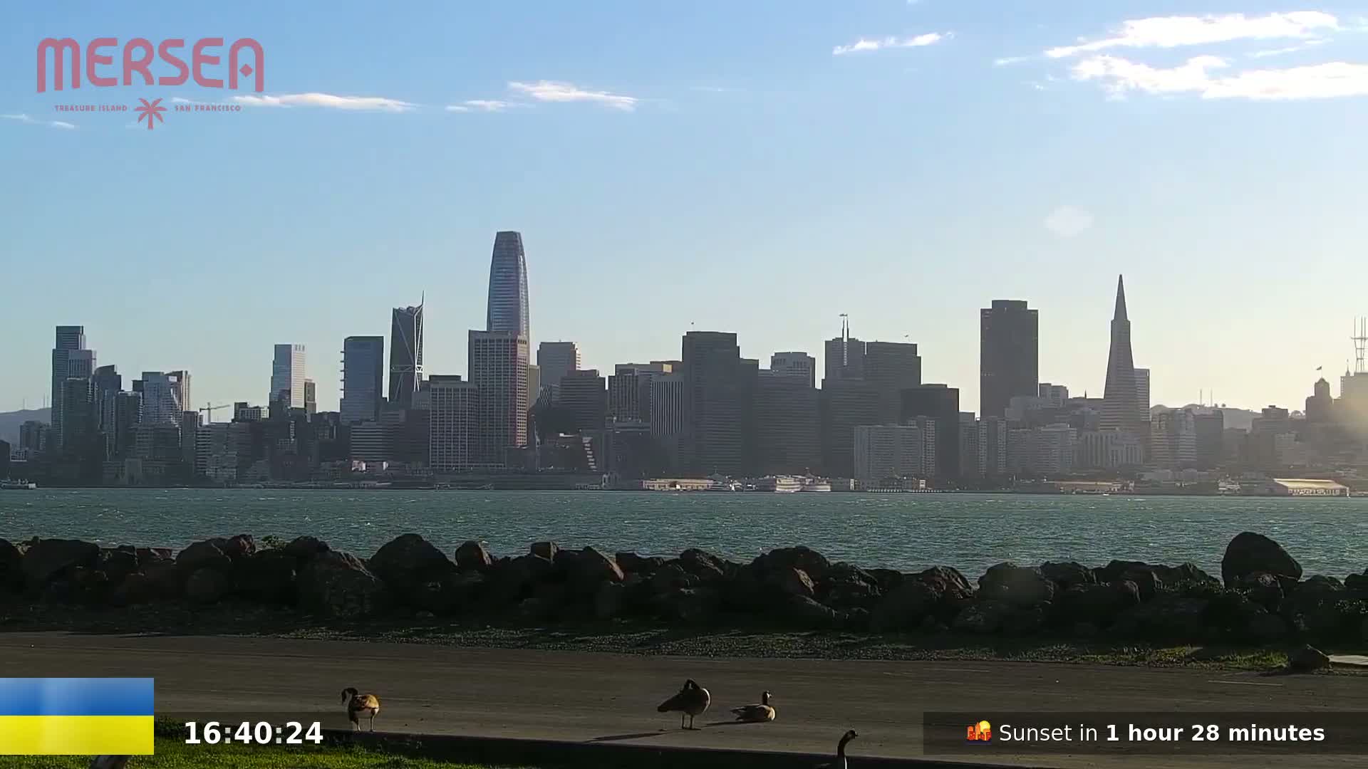 A city skyline is visible across a body of water on a partly sunny day, with a few geese visible in the foreground.