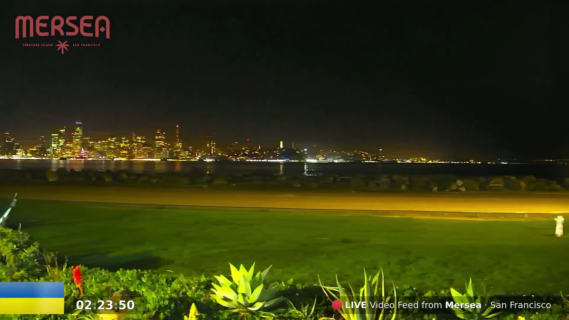 A nighttime view of a city skyline across a body of water, seen from a grassy area with low-lying vegetation in the foreground.