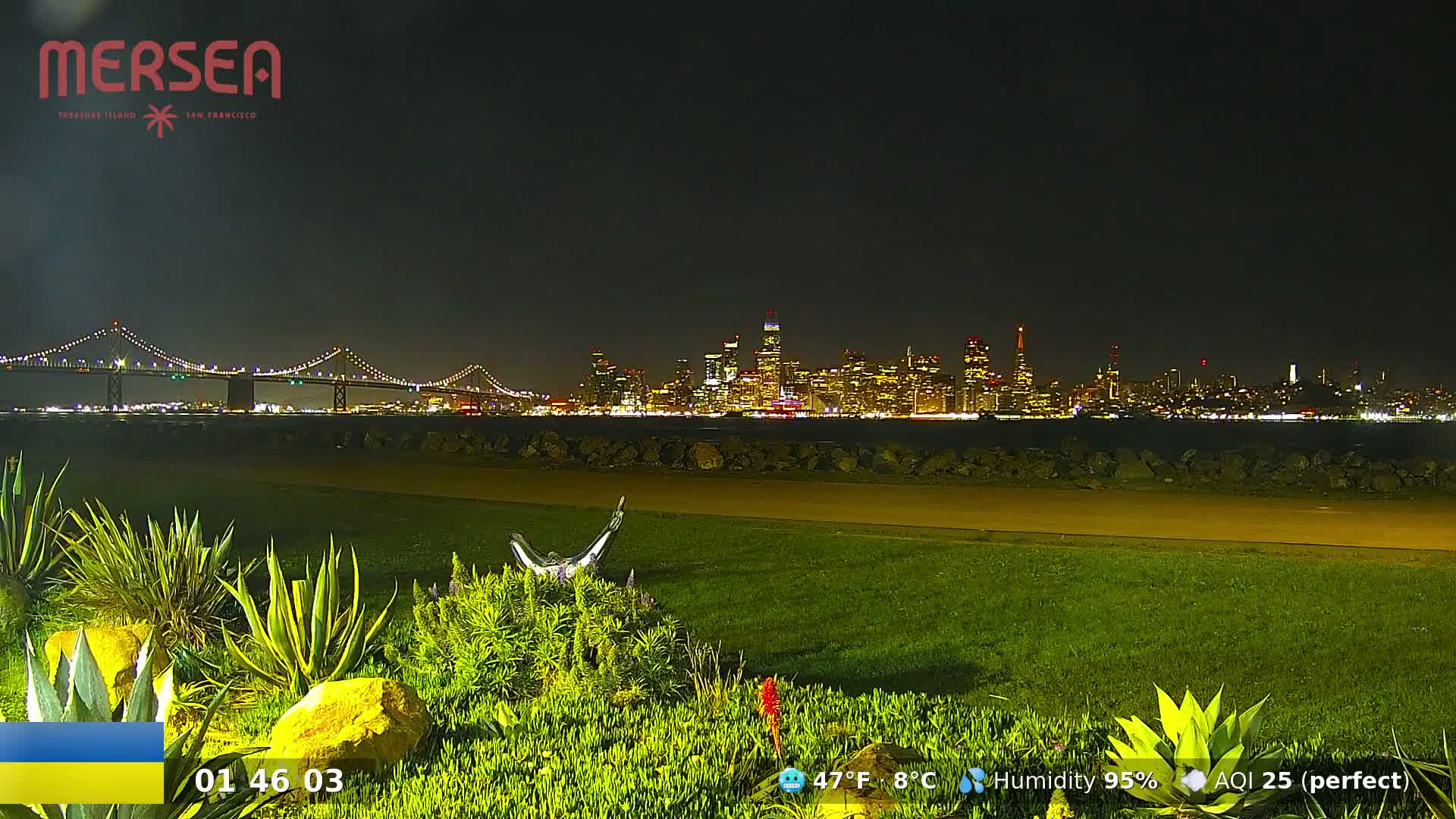 A nighttime view of a city skyline across a body of water, seen from a grassy area with landscaping and a sculpture, under clear skies.