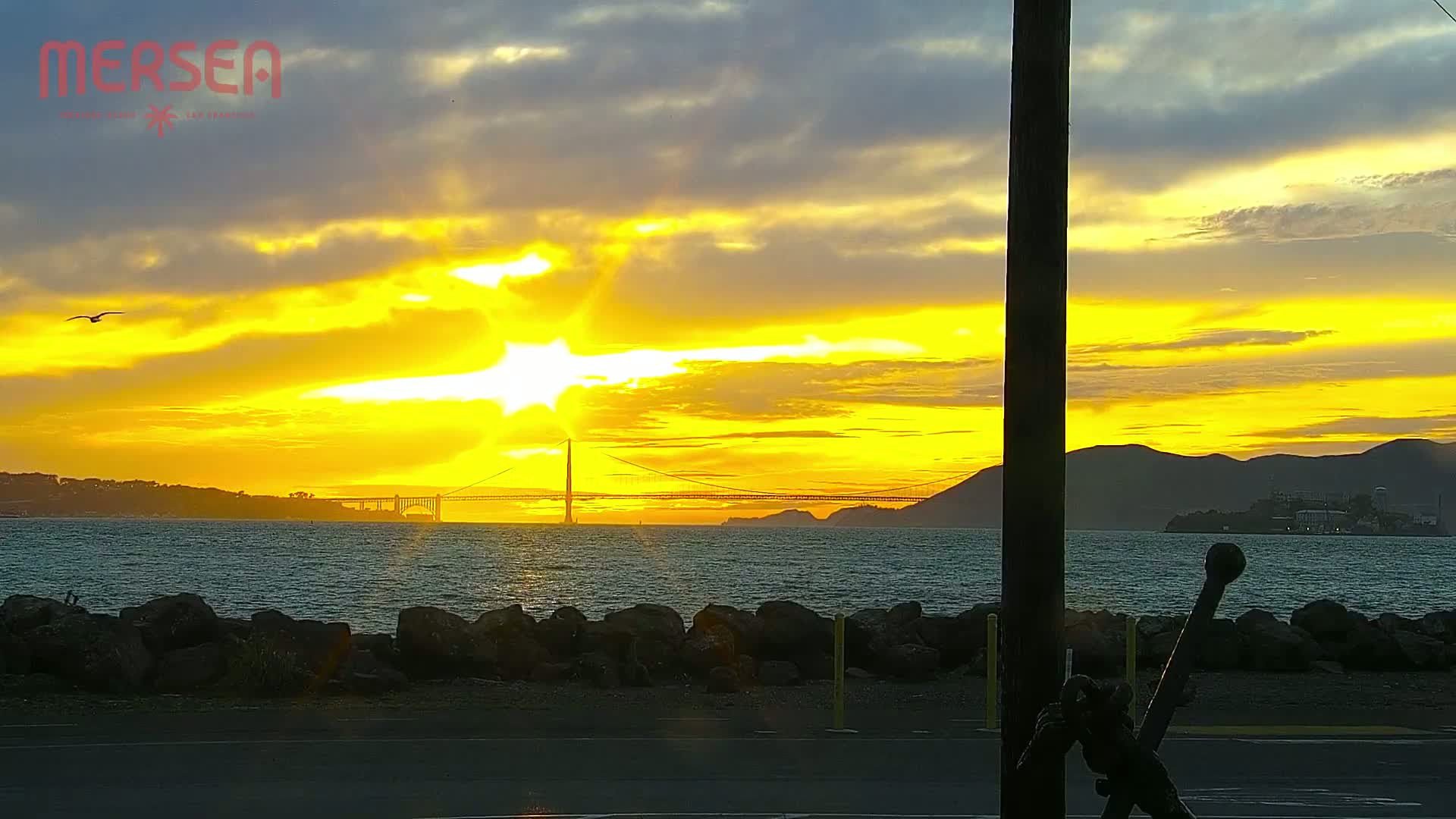 A vibrant yellow sunset illuminates a suspension bridge and Alcatraz Island across a calm body of water, with a bird in flight and a dark post in the foreground.
