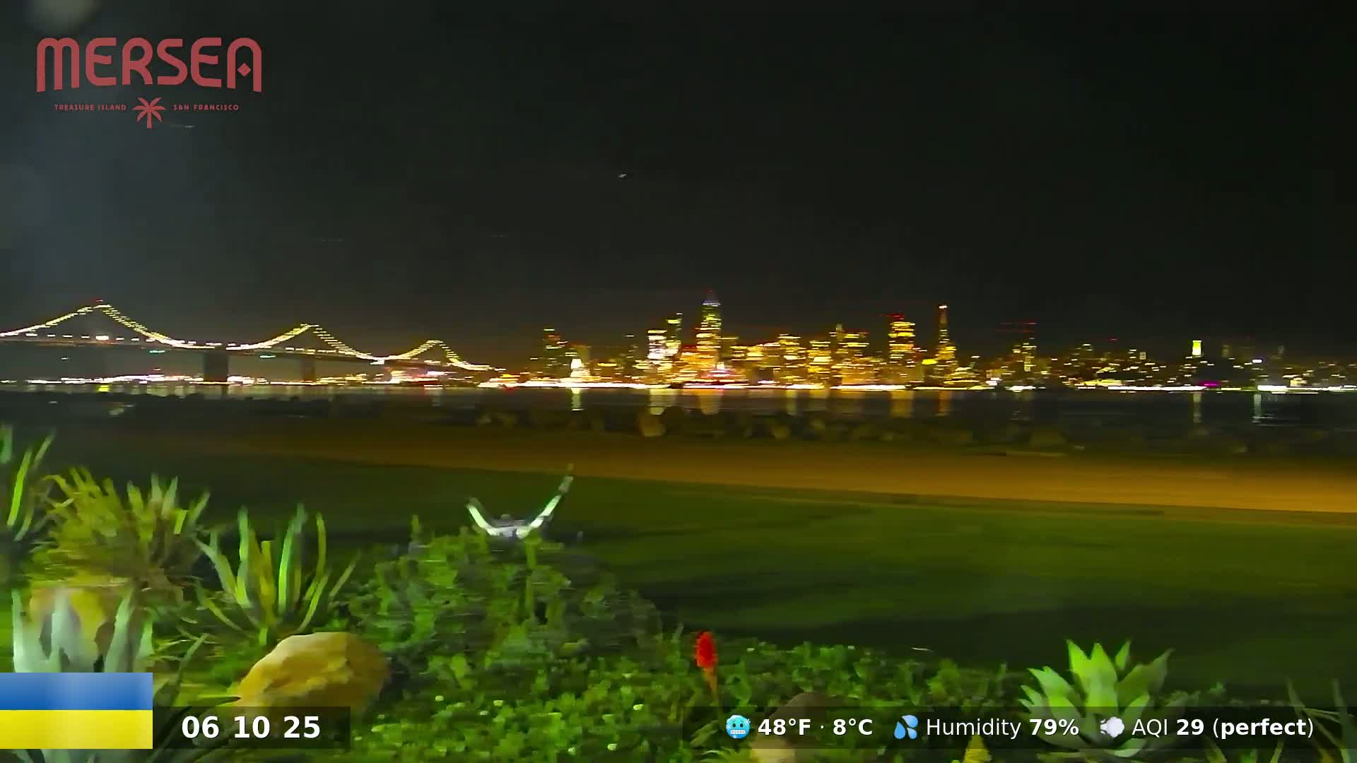 A nighttime view of a city skyline across a body of water, with a bridge in the distance and lush vegetation in the foreground under a clear, dark sky.