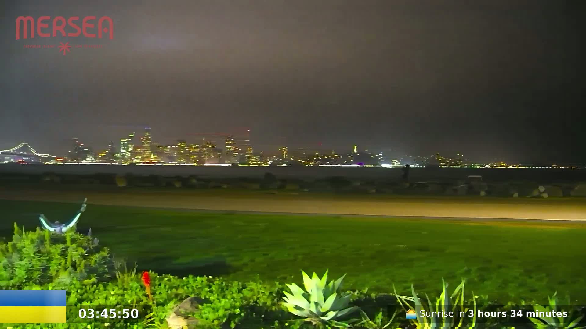 A nighttime view of a city skyline across a body of water, seen from a grassy area with low vegetation in the foreground under a hazy, dark sky.