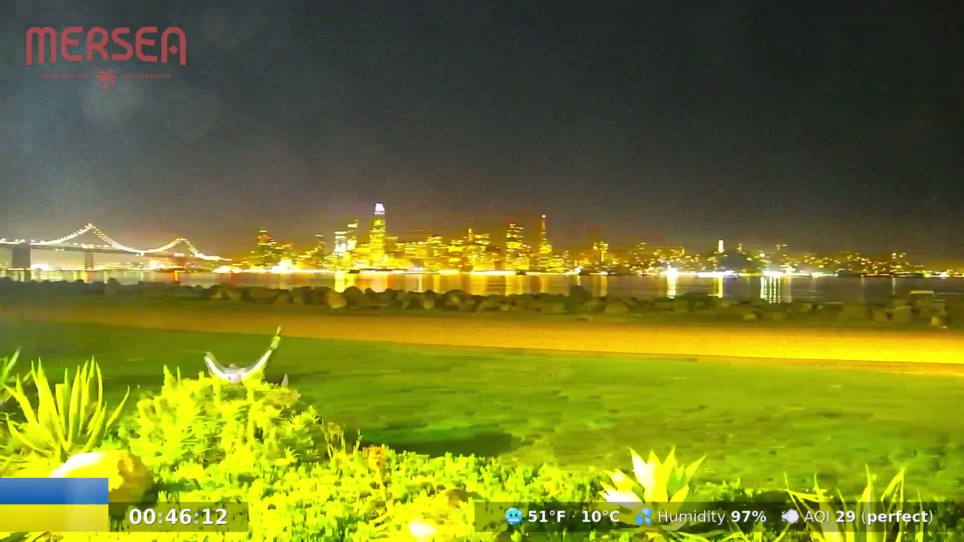 A nighttime view of a brightly lit city skyline across a body of water, seen from a grassy area with vegetation in the foreground, under a dark, clear sky.