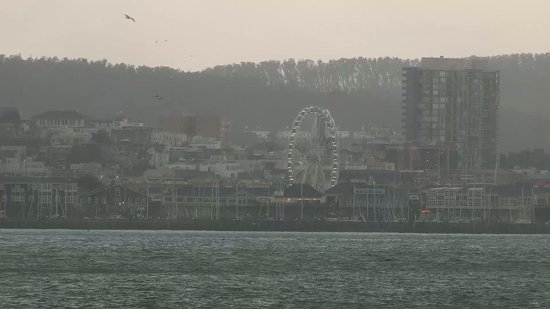 A Ferris wheel is visible behind a waterfront cityscape on a hazy, overcast day.