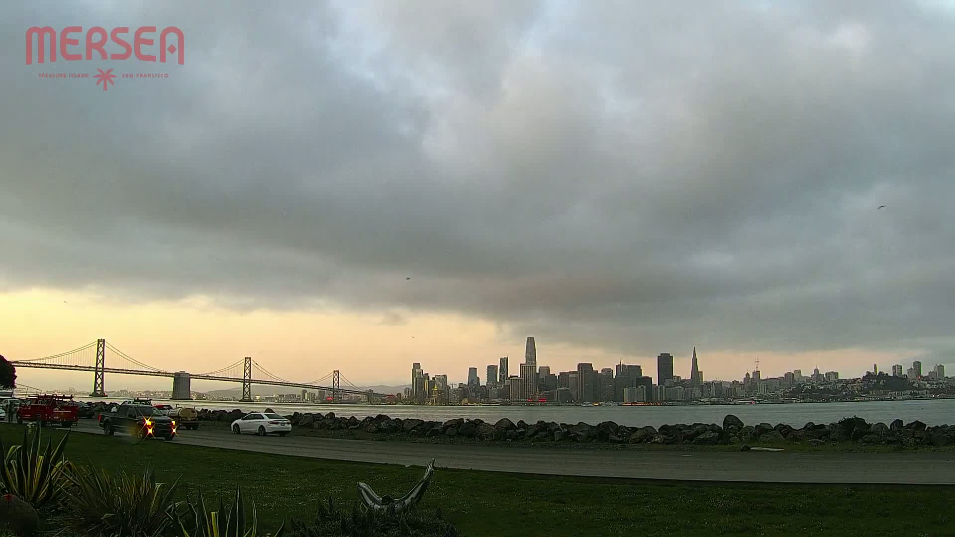 A cityscape with several skyscrapers is visible across a body of water under an overcast sky, with a suspension bridge to the left and several cars parked on a grassy area in the foreground.