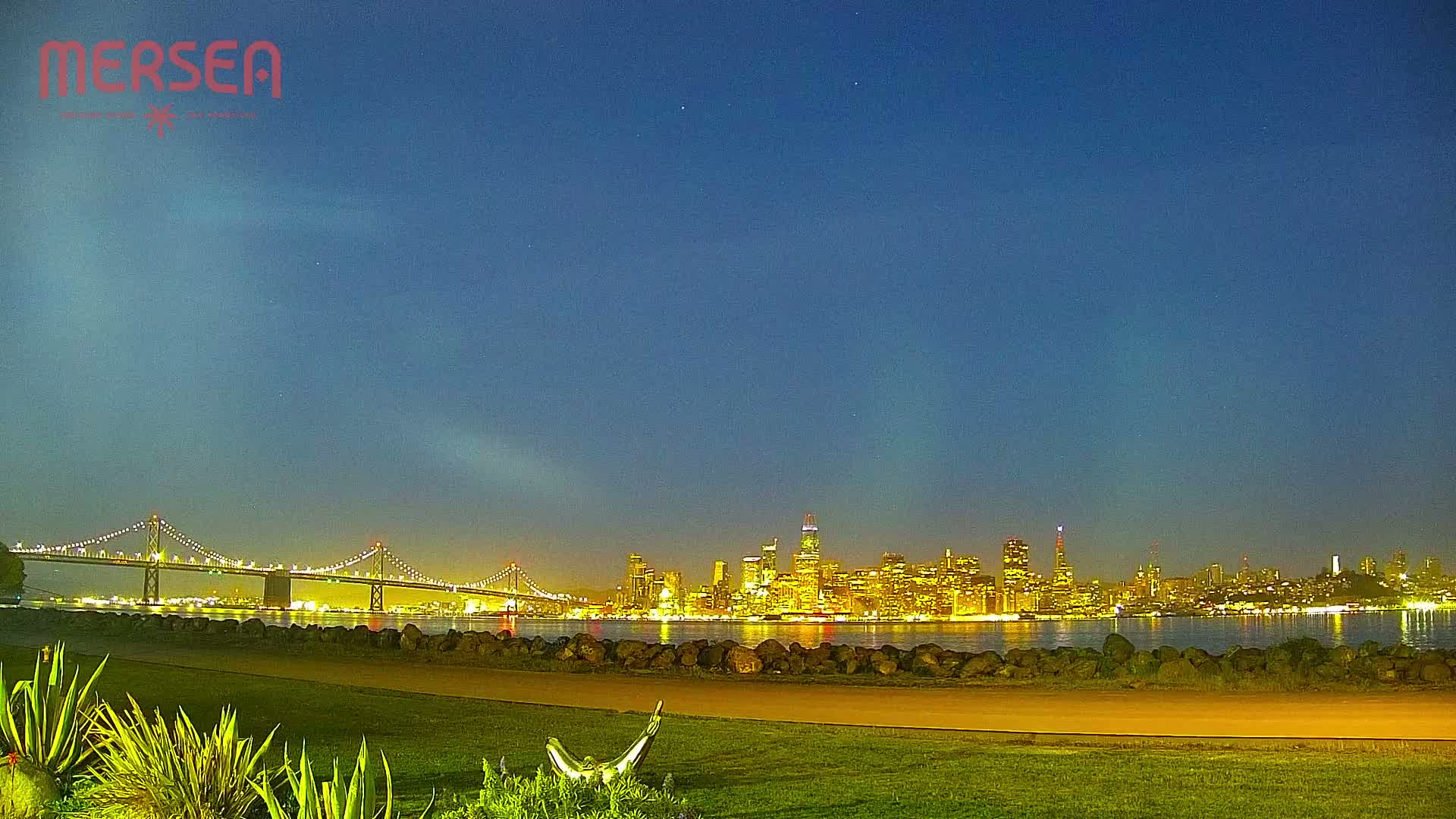 A brightly lit city skyline across a calm body of water is visible from a grassy area at twilight, with a bridge in the foreground.