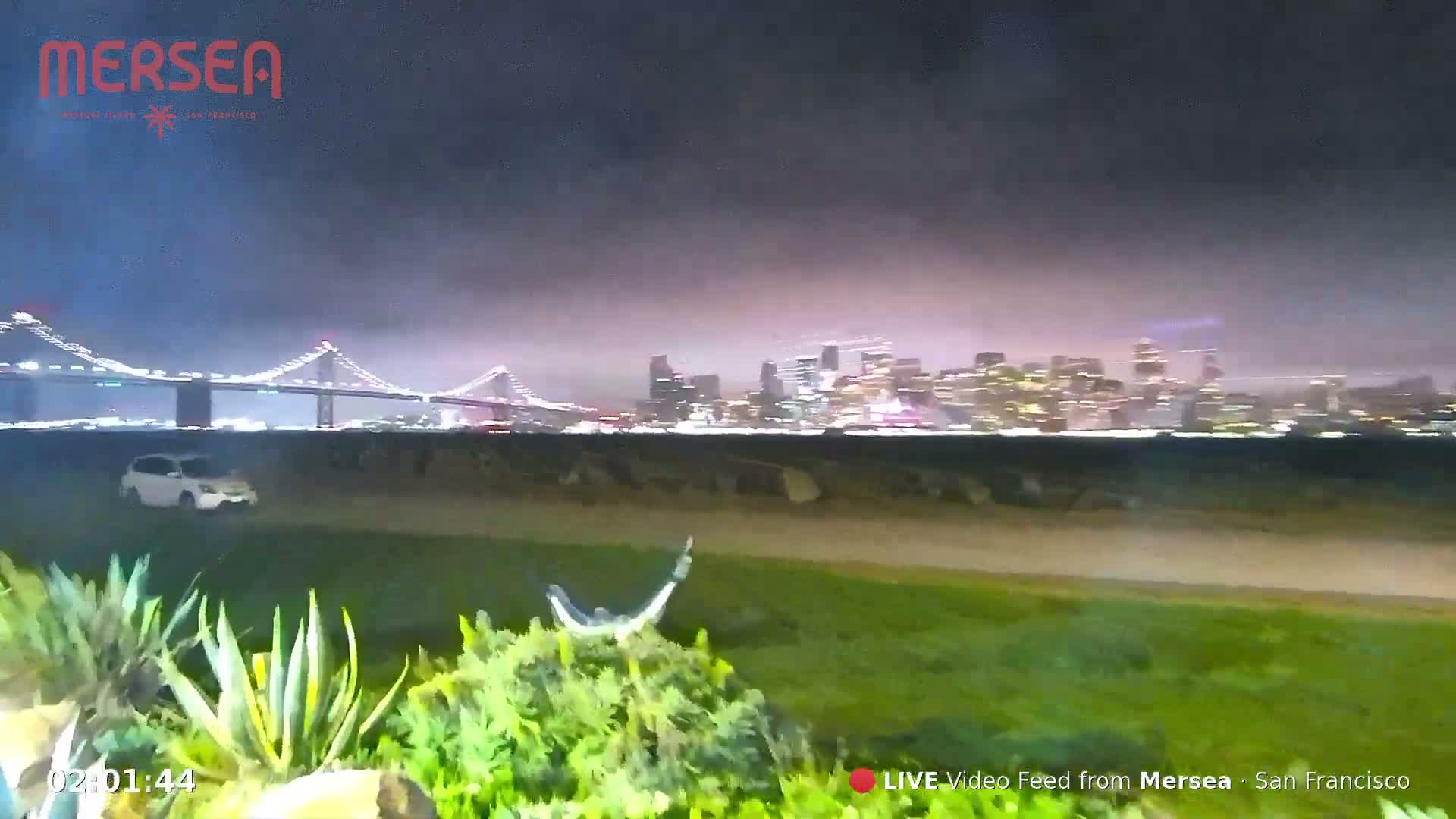 A nighttime view shows a lit-up city skyline across a body of water, a bridge in the foreground, and a grassy area with plants in the immediate foreground under an overcast sky.