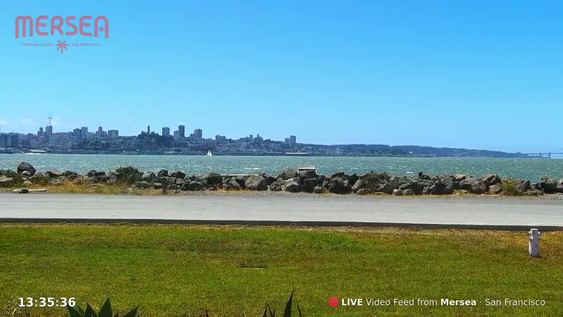 A grassy area overlooks a body of water with a windy surface, a distant cityscape, and a bridge visible on the horizon under a clear blue sky.