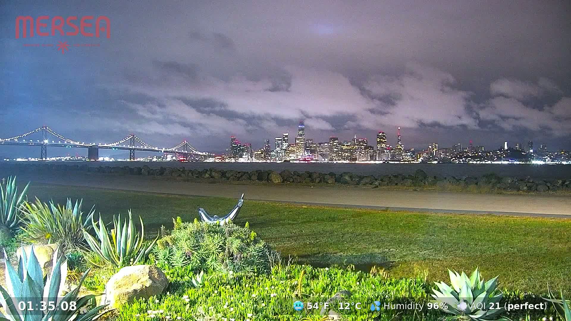 A nighttime view of a city skyline across a body of water, under a cloudy sky, with a bridge in the foreground and low-lying vegetation in the immediate foreground.