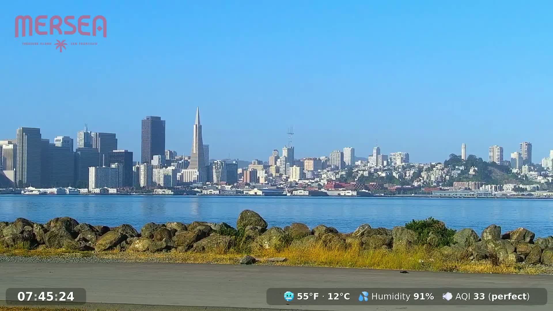 A clear, sunny day reveals a cityscape across a calm body of water, viewed from a rocky shoreline with sparse vegetation.
