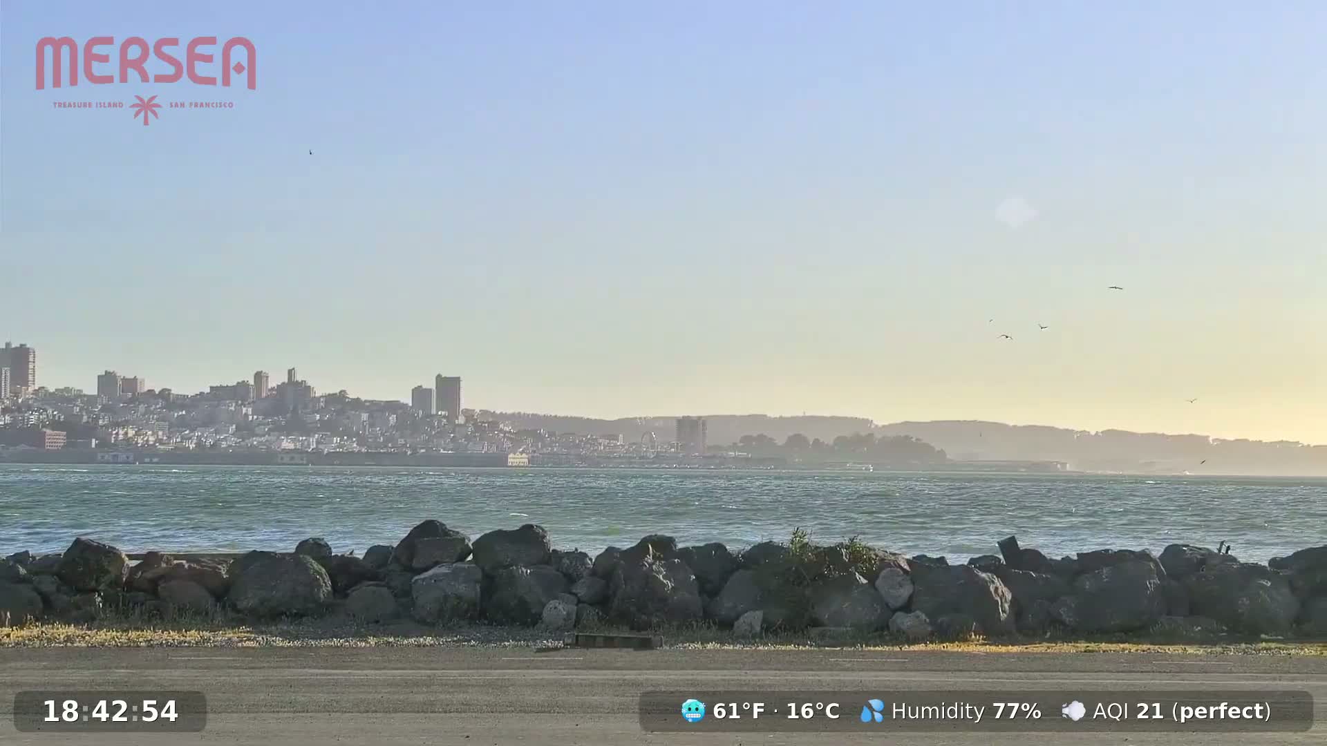A city skyline is visible across a body of water with moderate waves, under a clear, light-blue sky.