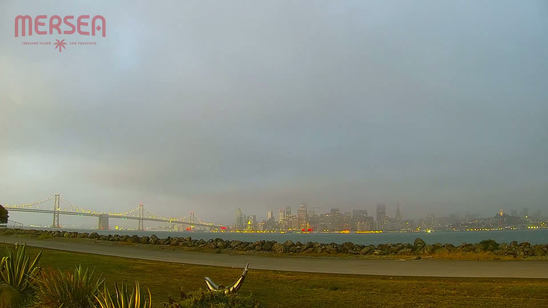 A foggy cityscape with a bridge and illuminated buildings is visible across a body of water from a grassy area with a rocky shoreline.