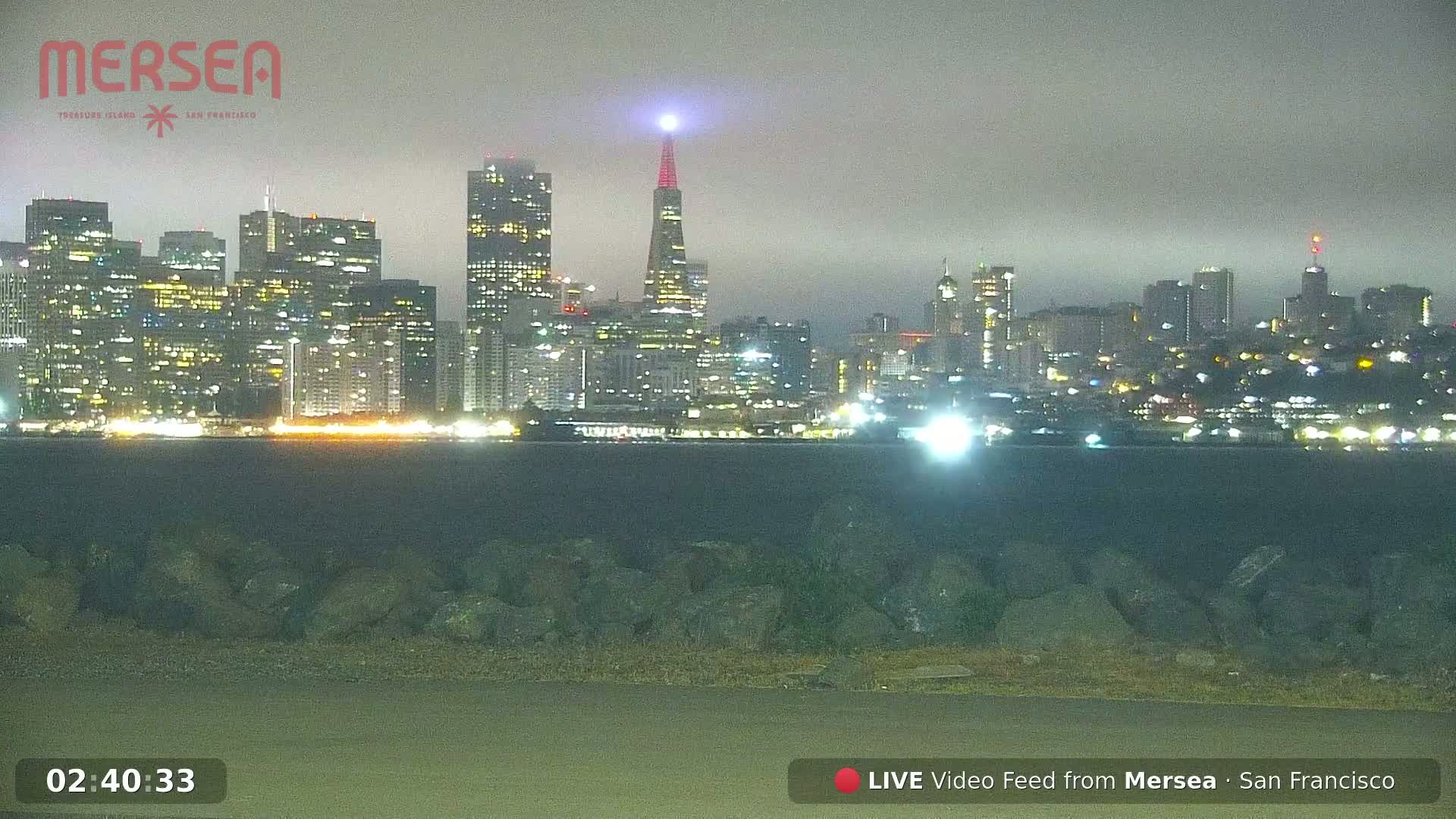 A nighttime view of a city skyline across a body of water, shrouded in fog.