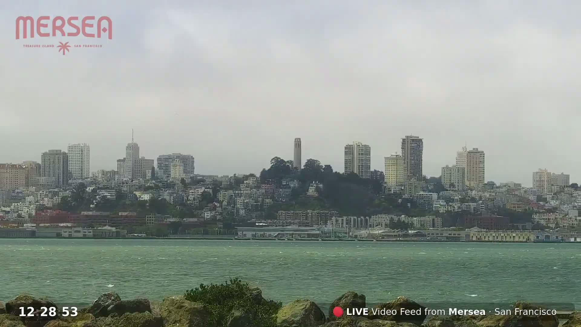 San Francisco City Live Camera from Treasure Island - San Fracisco, California, USA