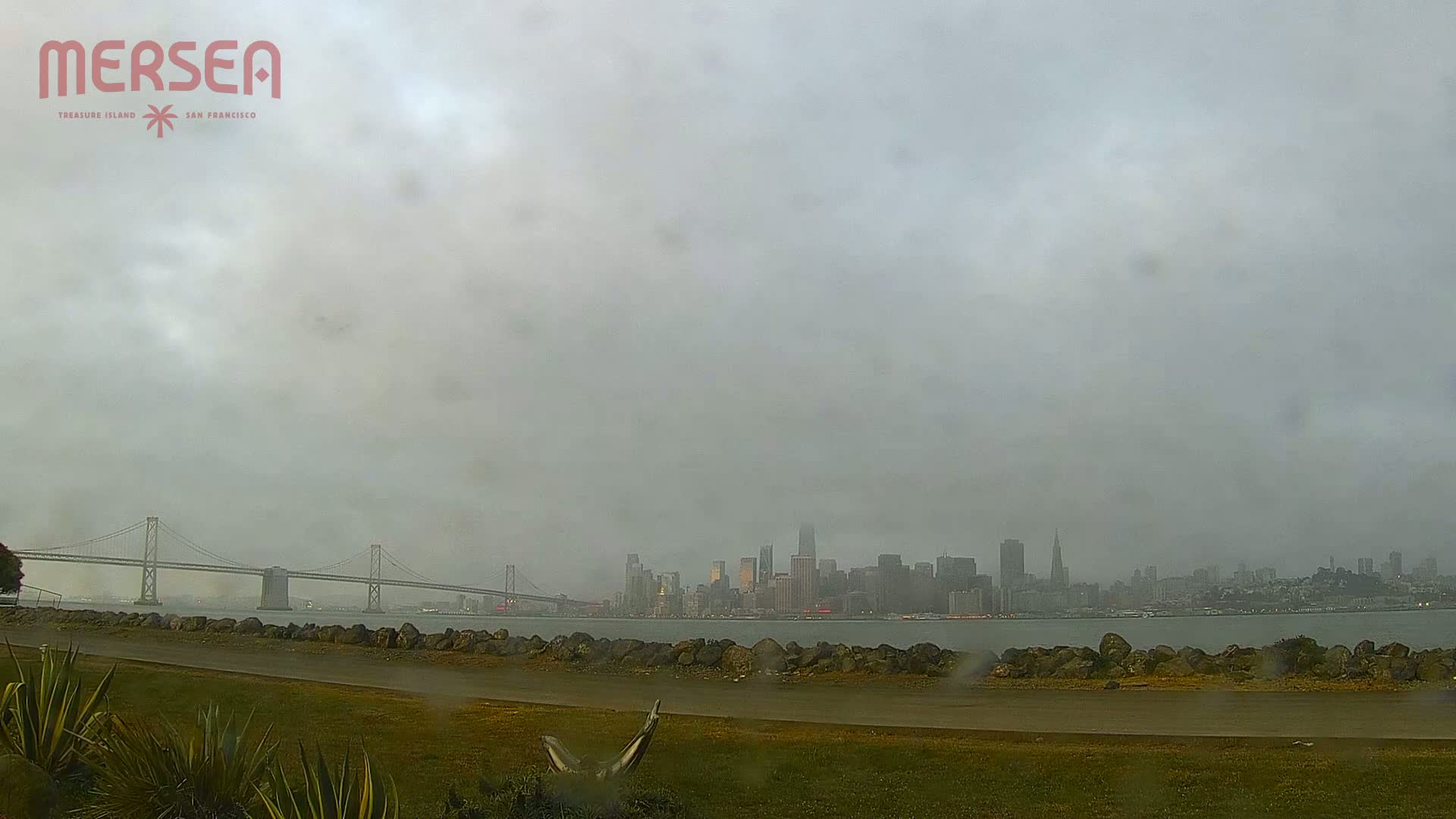 A rain-covered San Francisco skyline is visible across the water from a grassy area with a bridge in the foreground.